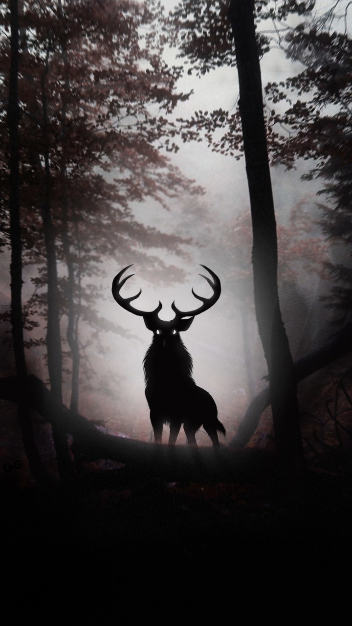 deer