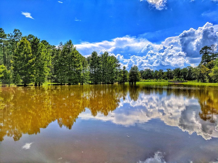 Serene....