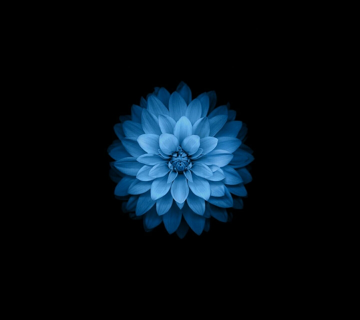 flower#apple#