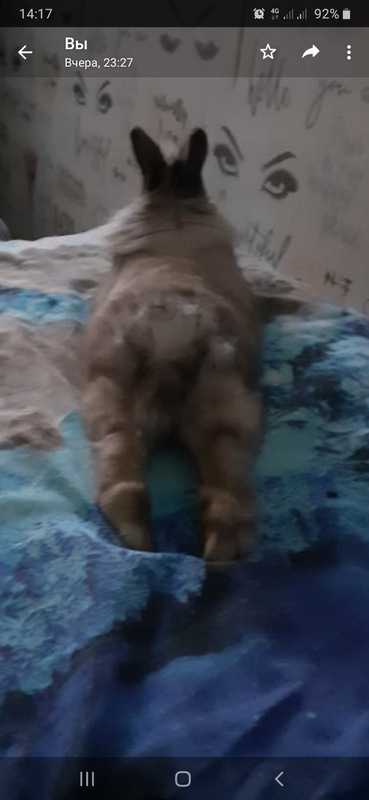 .