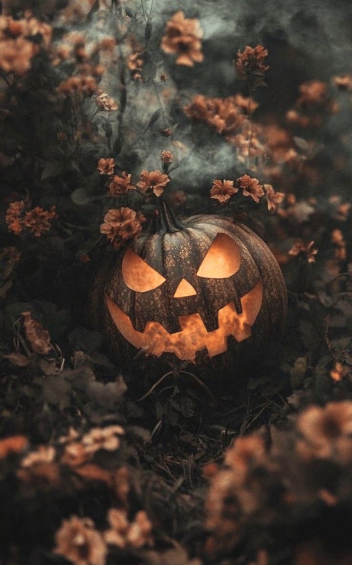 HALLOWEEN PUMPKIN AMIDST DEAD FLOWERS