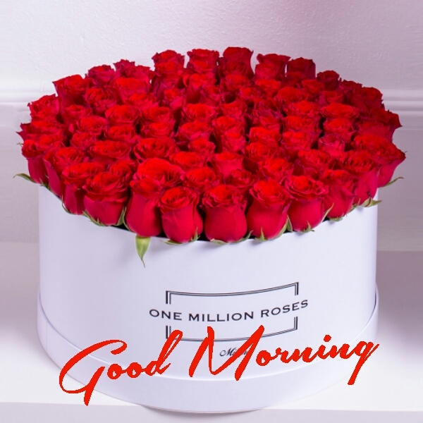 good morning