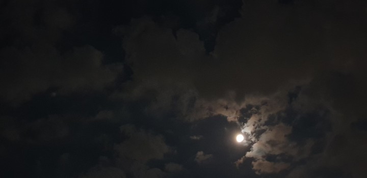 night