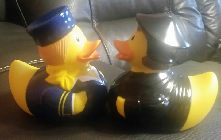 Duck love