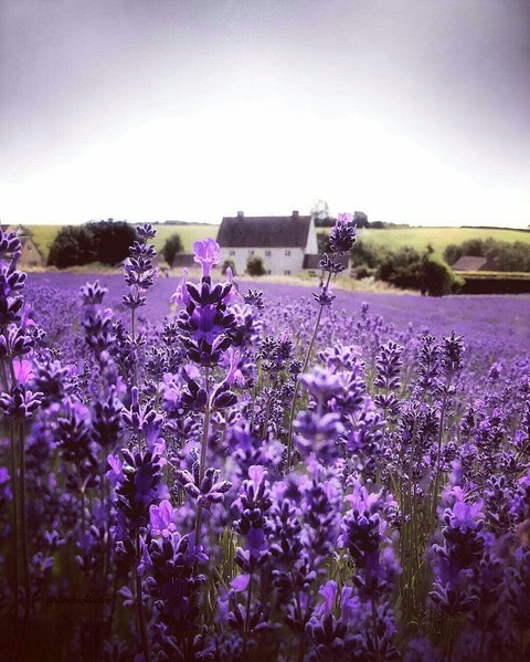 England