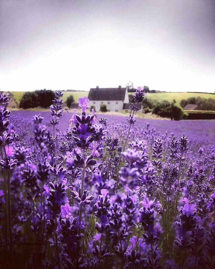 England