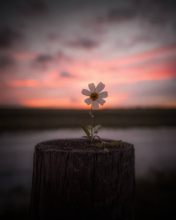 ♡