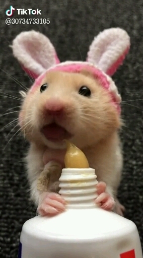 Cute overloaded