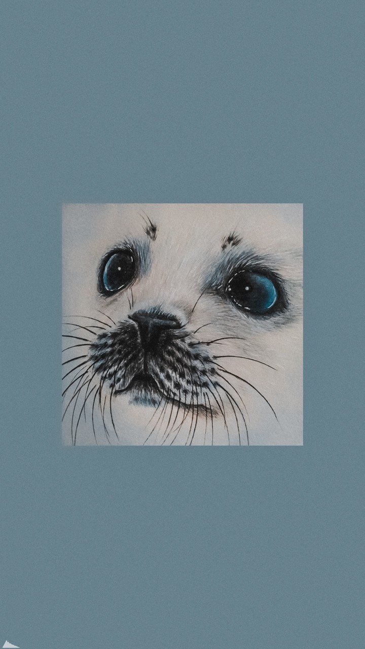 Seal