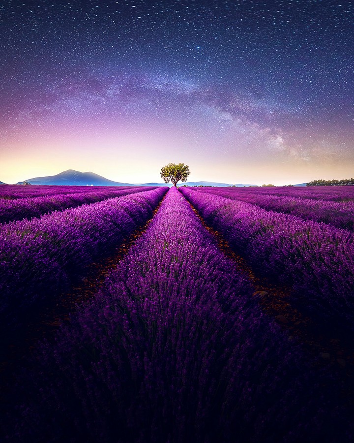 .....