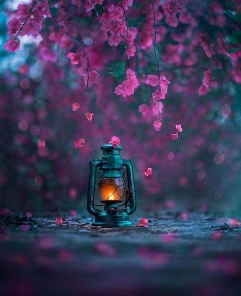 Kawaii Wallpapers