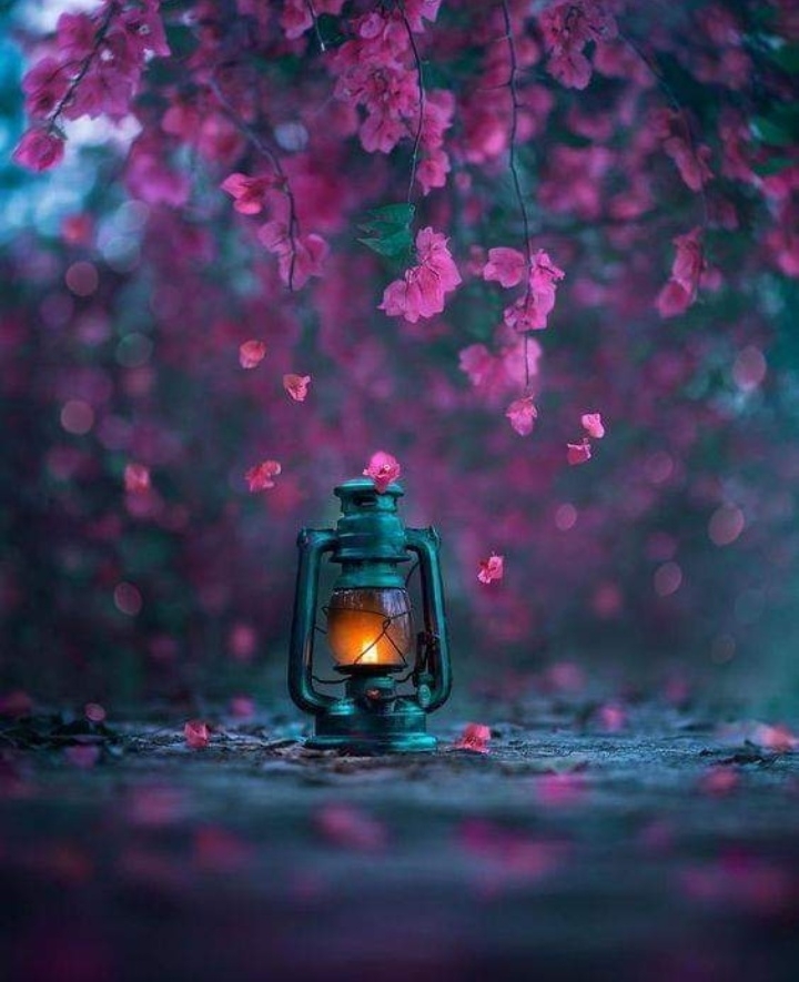 Kawaii Wallpapers