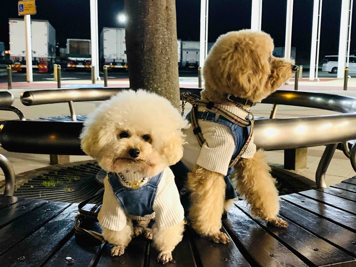 Lucky & Money