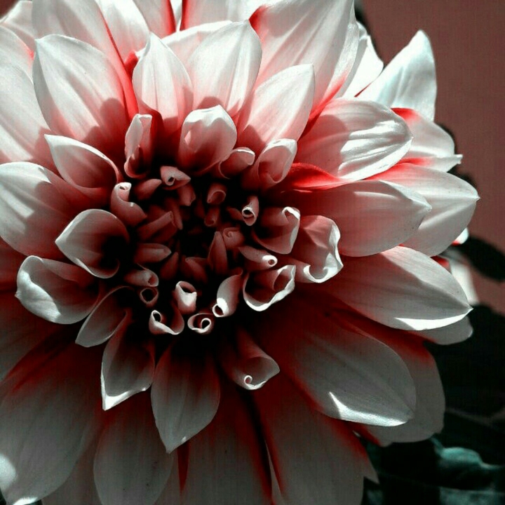 zoomed in:)