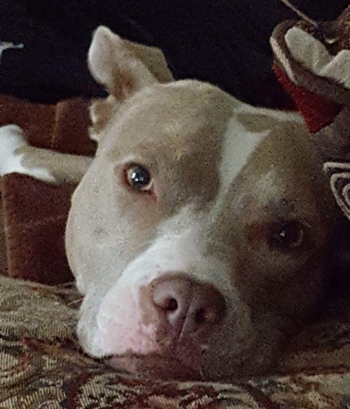 hazel eyes