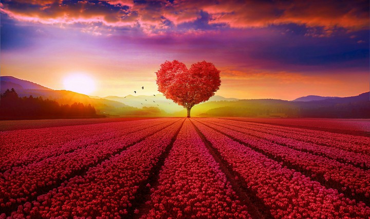 'Tree Of Love' ❤