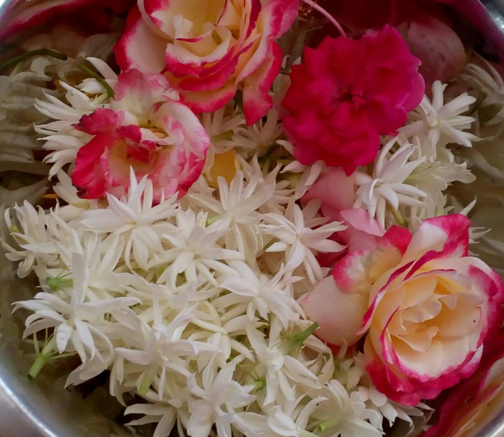 flowers