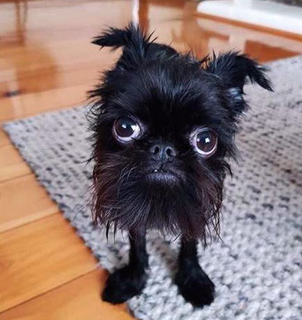 little