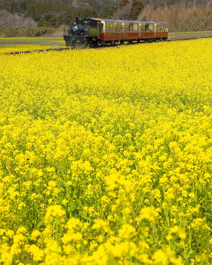 tren yolculuğu yapan bilir