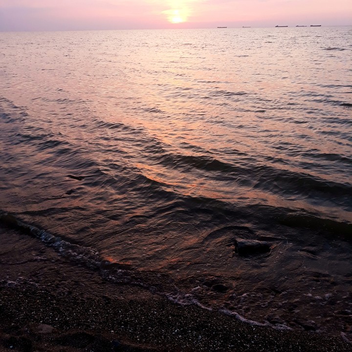 ▪sea○•°