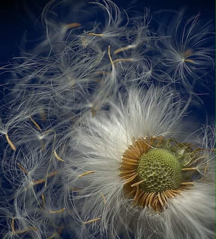 tenderness