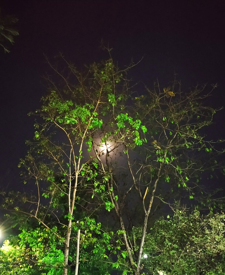 night