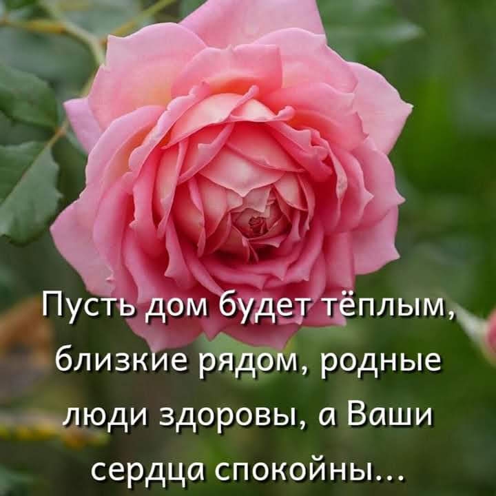 пожелание
