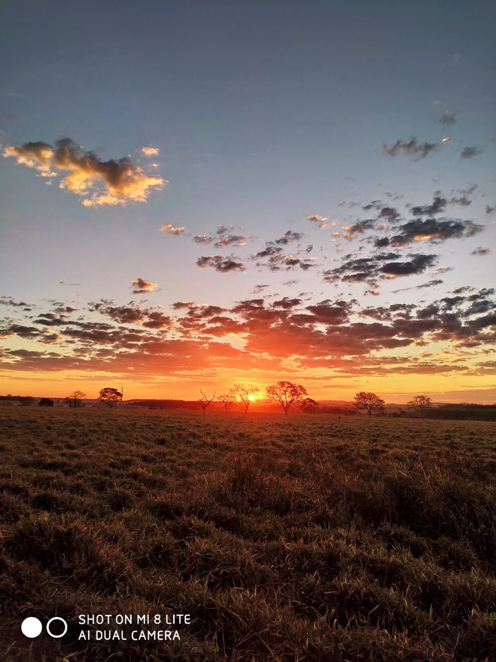 Por do sol