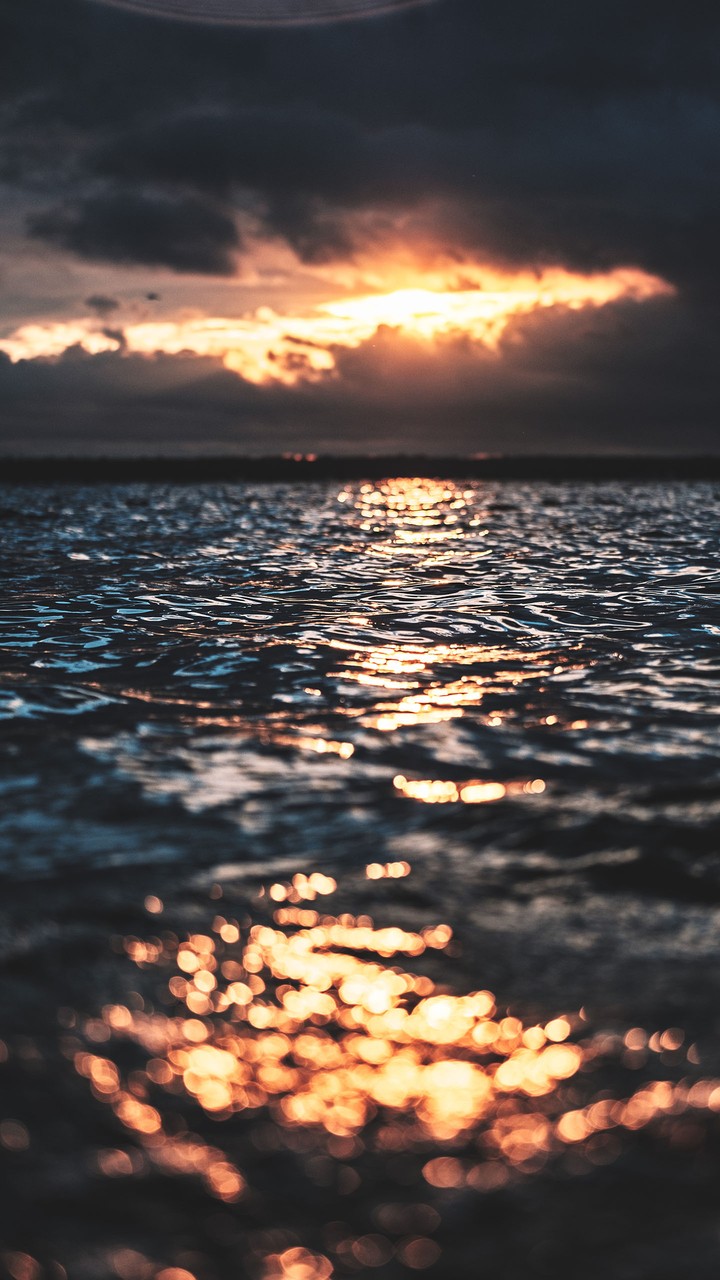 The Waves