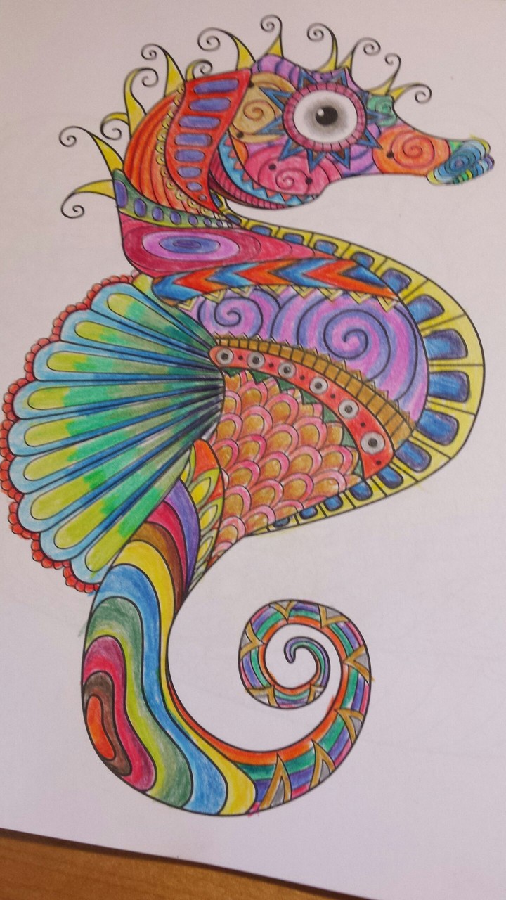 rainbow hors sea