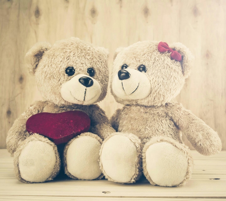 tedy love