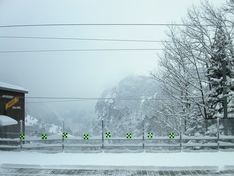 Scenics
