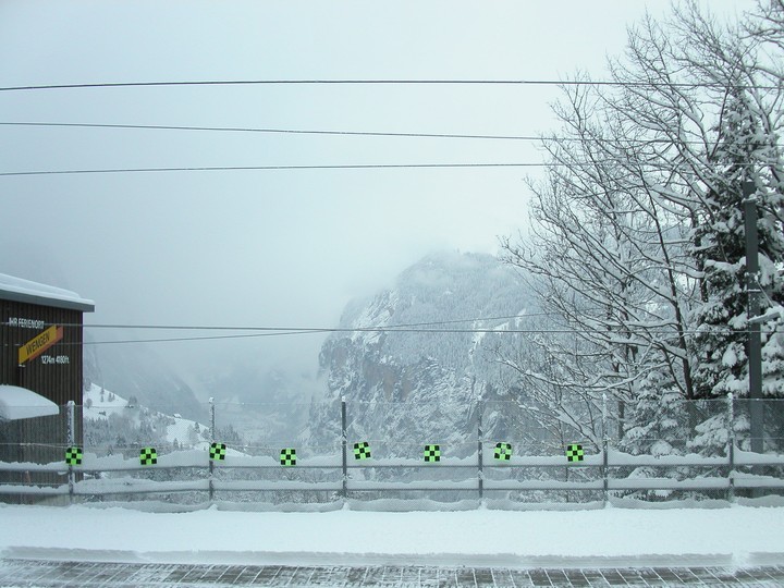Scenics