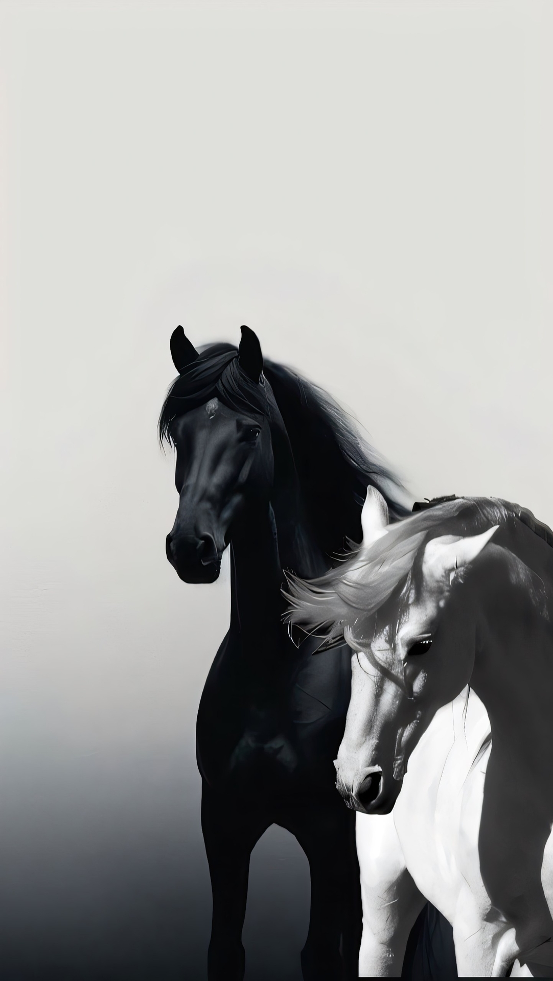 тапети horse, stallion