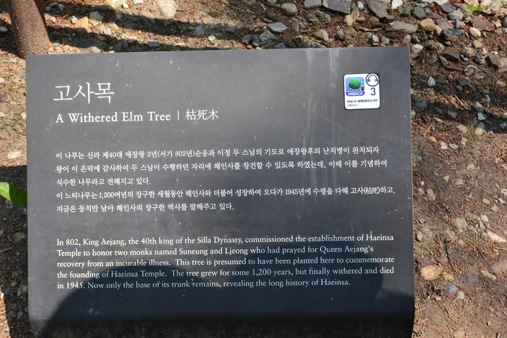 산이미지