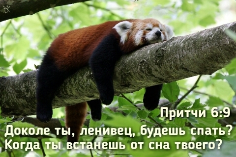 lazy