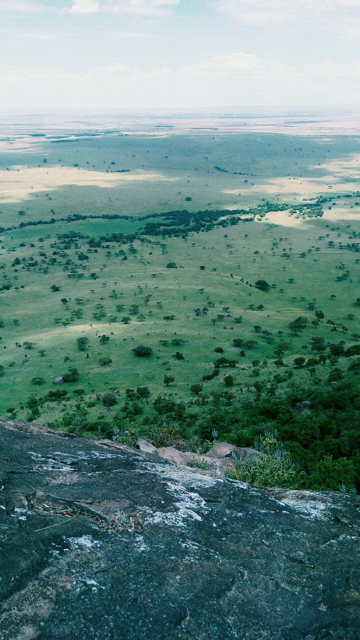 Mara