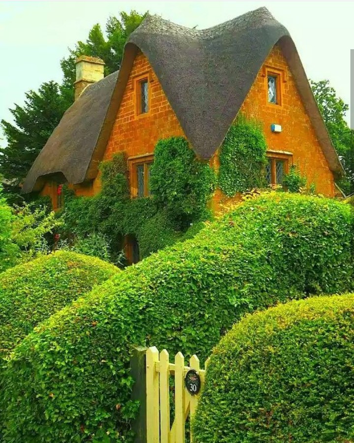 Green House