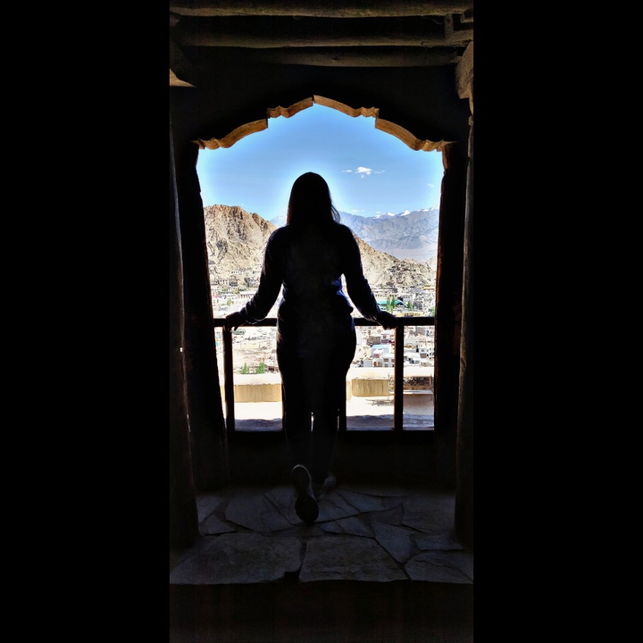 leh palace