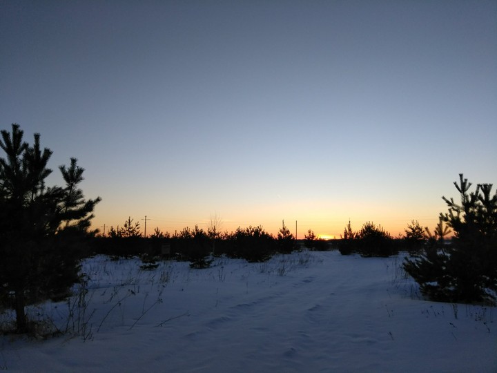 Winter landscape