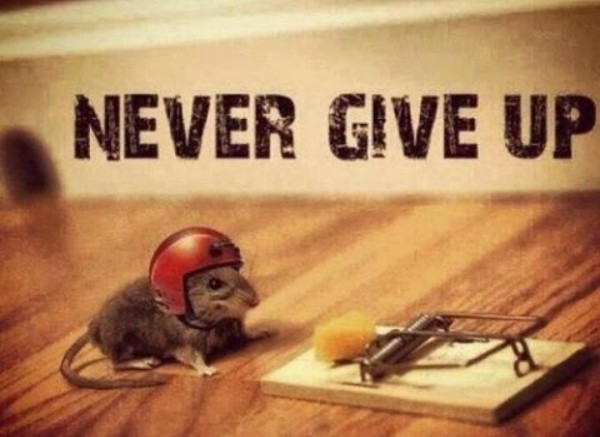 never give up
