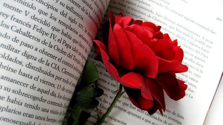 книга и роза
