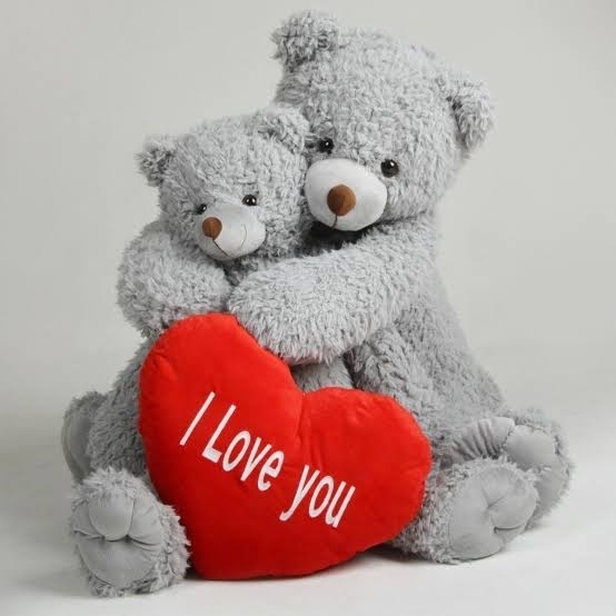 Teddy bear