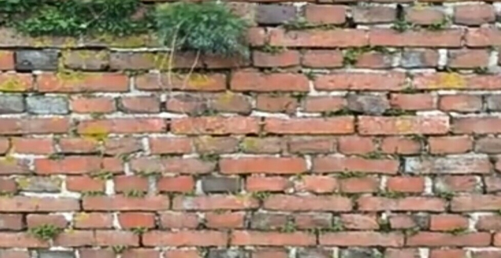 Green Wall