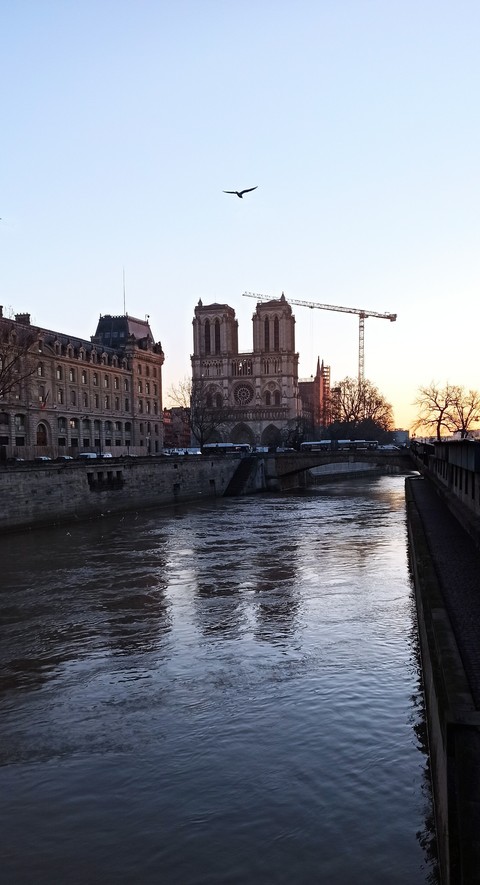 Paris s'éveille
