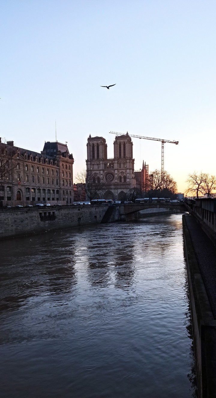 Paris s'éveille