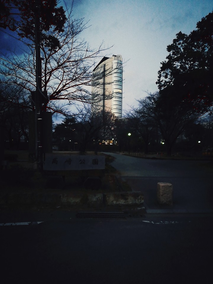 夜の高崎公園