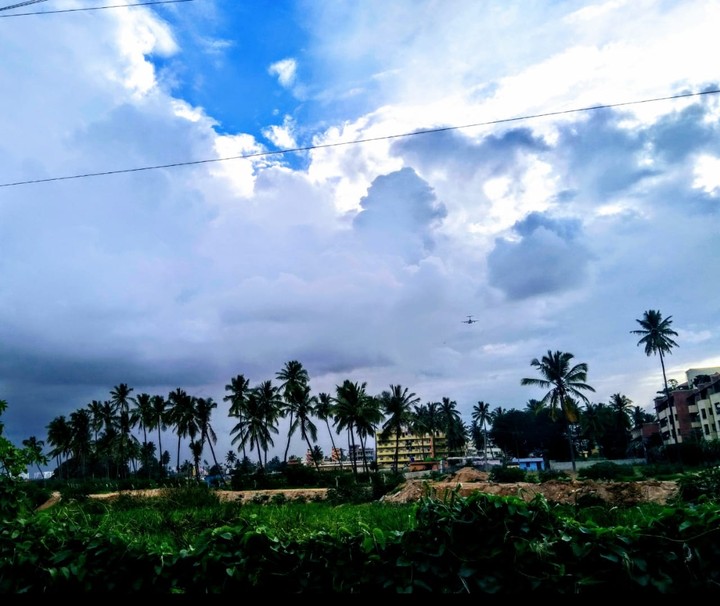 Nature