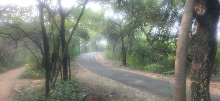 Road