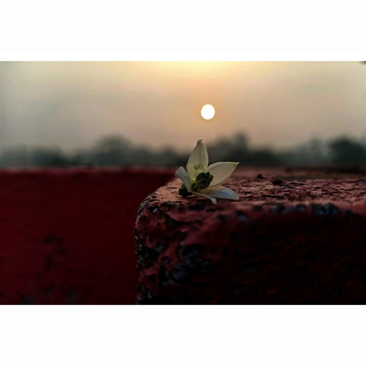 sunrise ?